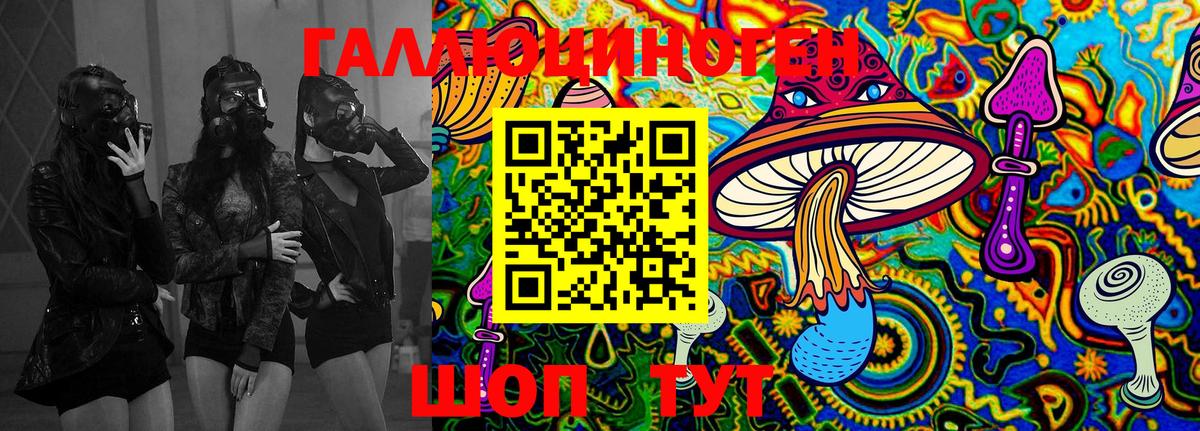 Галлюциногенные грибы Magic Shrooms Дербент