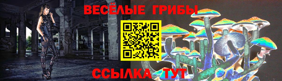 Галлюциногенные грибы Psilocybine cubensis Дербент